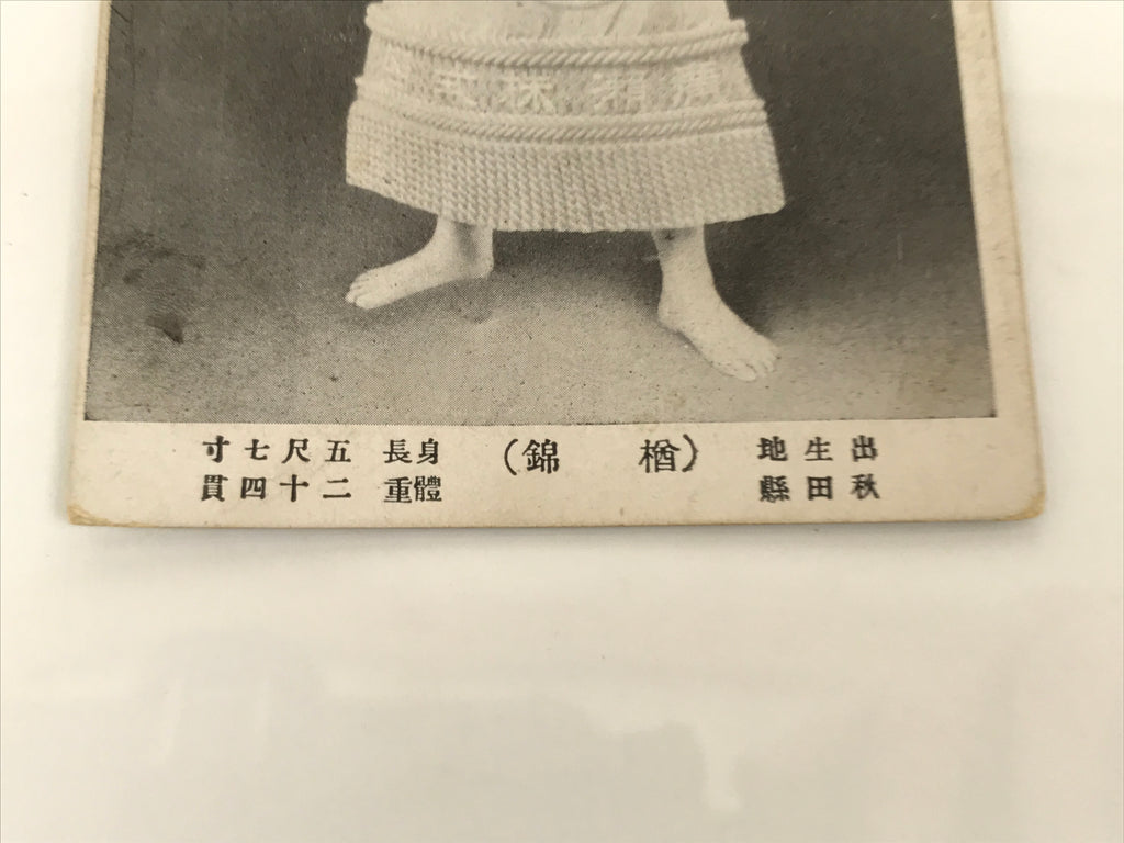 Antique Japanese Postcard Sumo Wrestler Naranishiki Masakichi Black White PC108