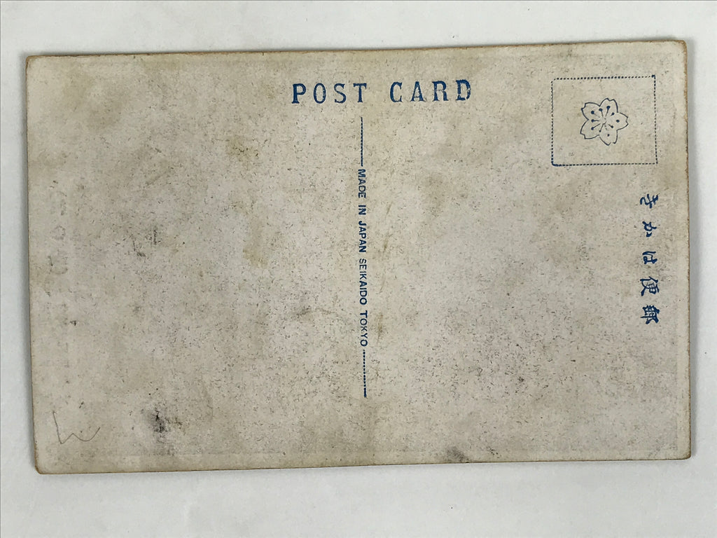 Antique Japanese Postcard Sumo Wrestler Rainomine Isuke Black White PC109
