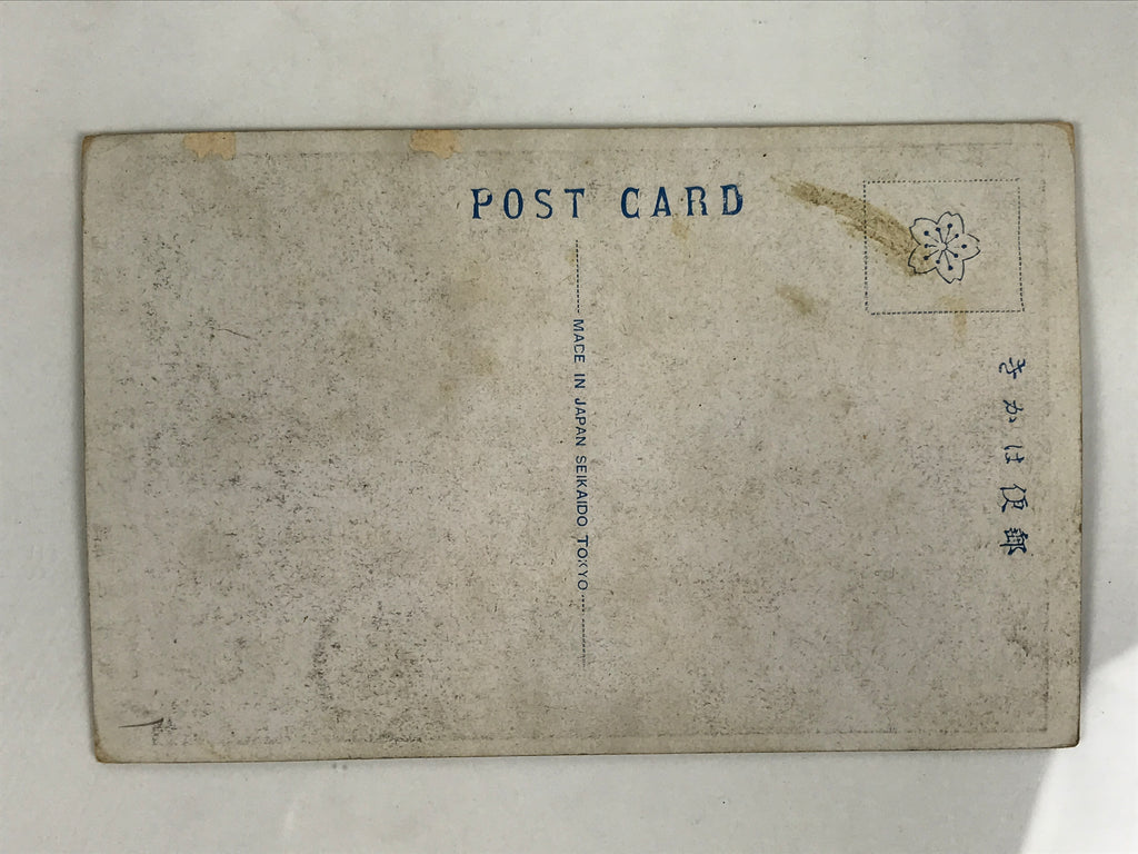 Antique Japanese Postcard Sumo Wrestler Tachihikari Den'emon Black White PC101