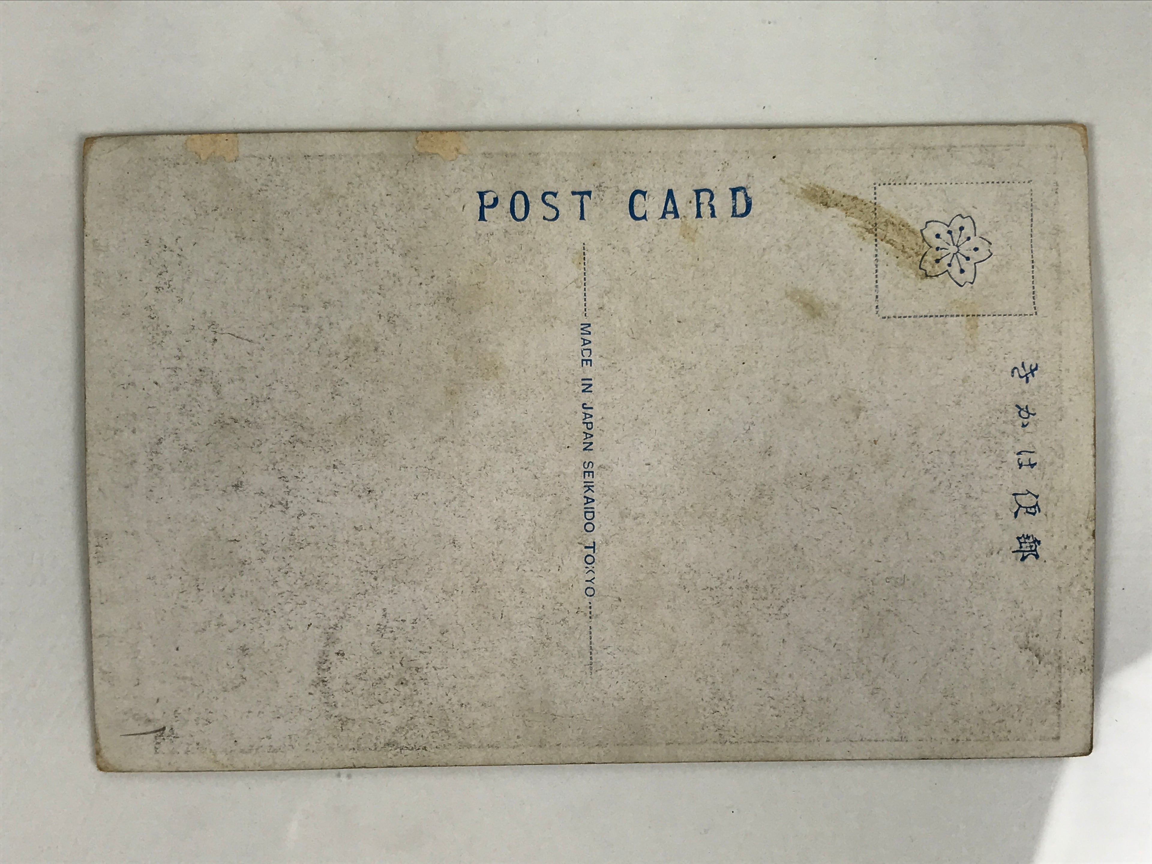 Antique Japanese Postcard Sumo Wrestler Tachihikari Den'emon Black White PC101