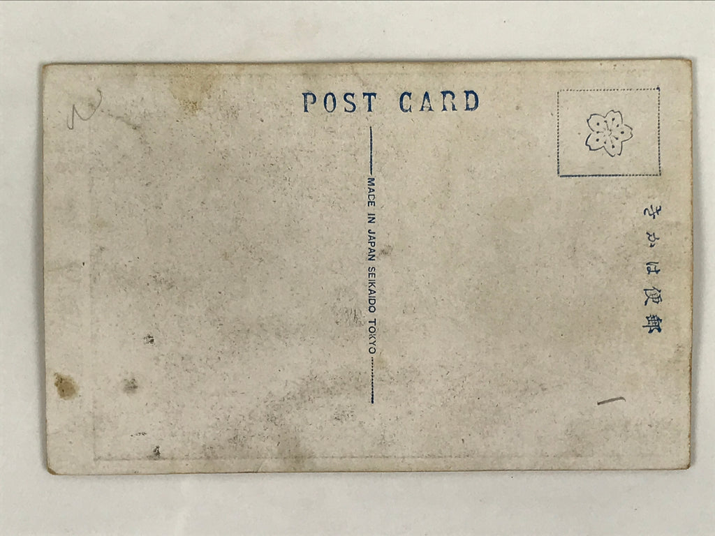 Antique Japanese Postcard Sumo Wrestler Taroyama Yukichi Black White PC104