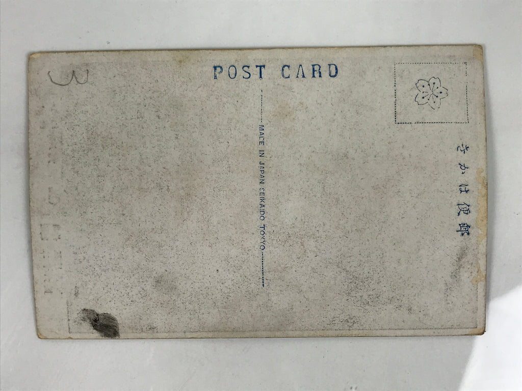 Antique Japanese Postcard Sumo Wrestler Terukaze Sadataro Paper Black White PC95