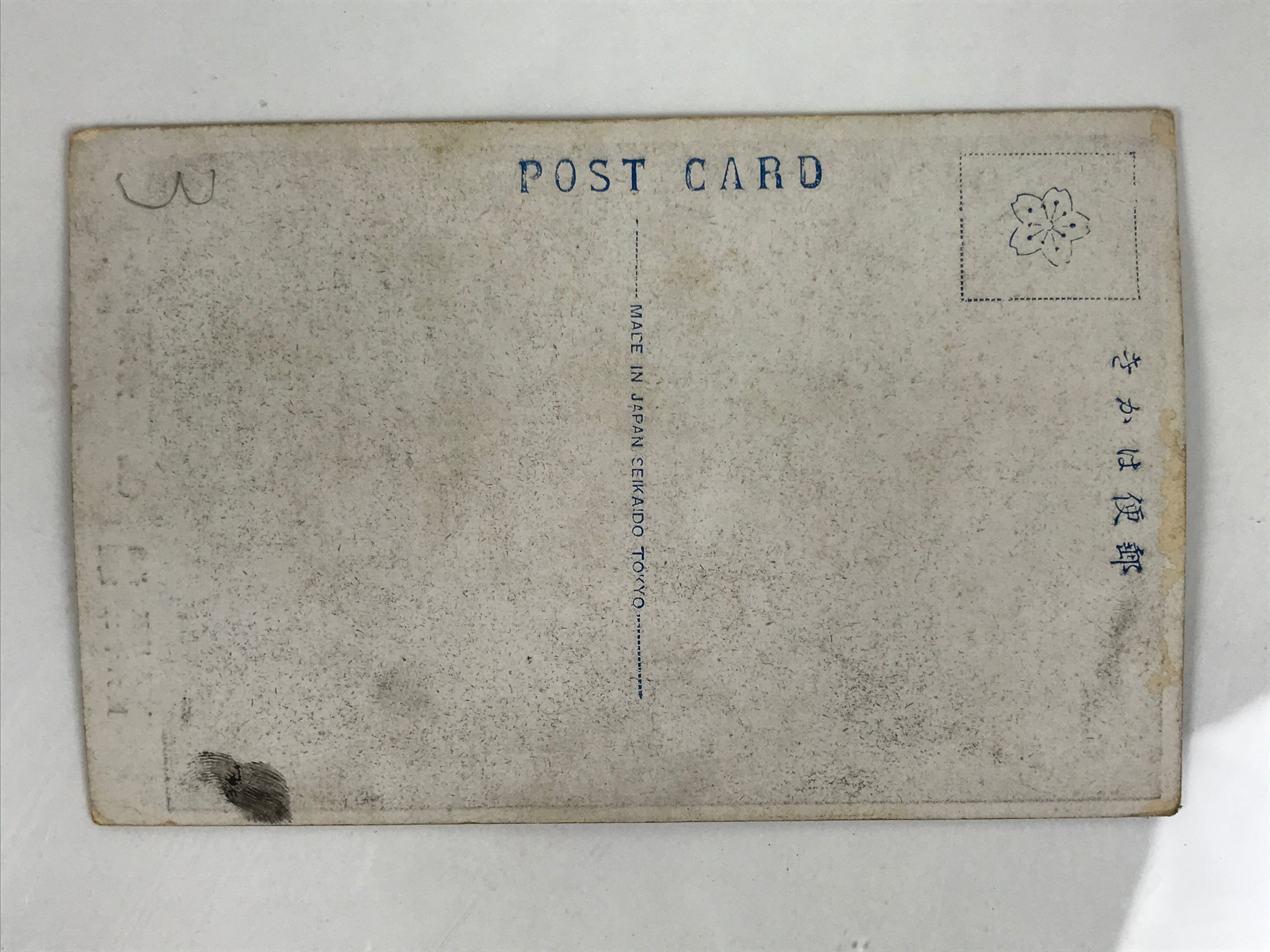 Antique Japanese Postcard Sumo Wrestler Terukaze Sadataro Paper Black White PC95