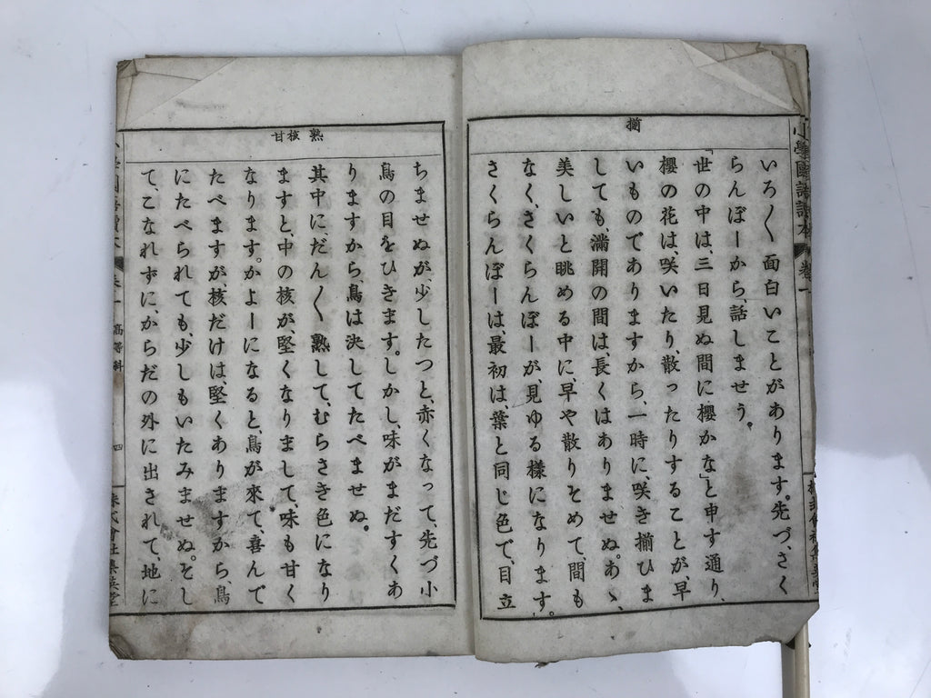 Antique Japanese School Textbook Official Reading Book C1900 Meiji Green HN34