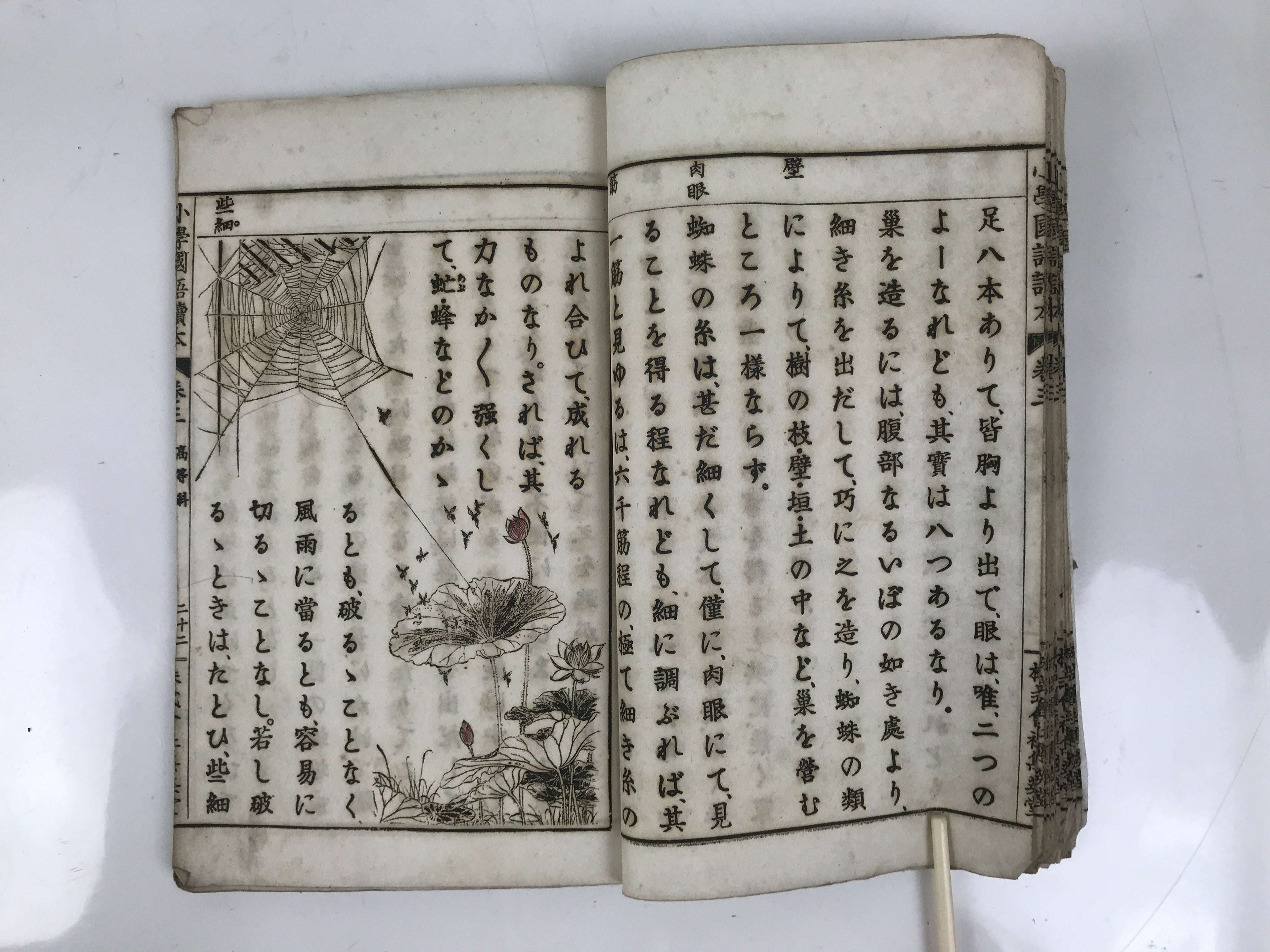 Antique Japanese School Textbook Official Reading Book C1900 Meiji Green HN35