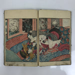 Antique Japanese Shunga Ukiyoe Erotic Art Book Edo Woodblock Print Oiran FL402