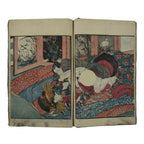 Antique Japanese Shunga Ukiyoe Erotic Art Book Edo Woodblock Print Oiran FL402