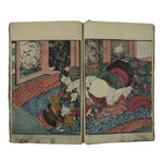 Antique Japanese Shunga Ukiyoe Erotic Art Book Edo Woodblock Print Oiran FL402