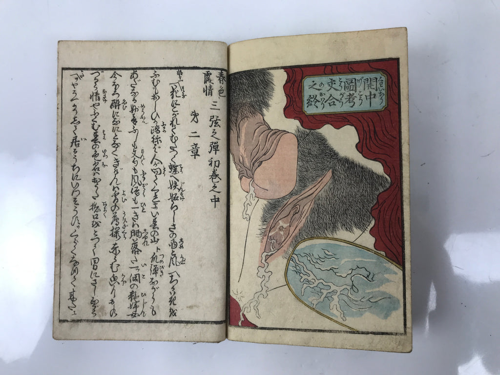 Antique Japanese Shunga Ukiyoe Erotic Art Book Woodblock Print Kimono Edo FL399