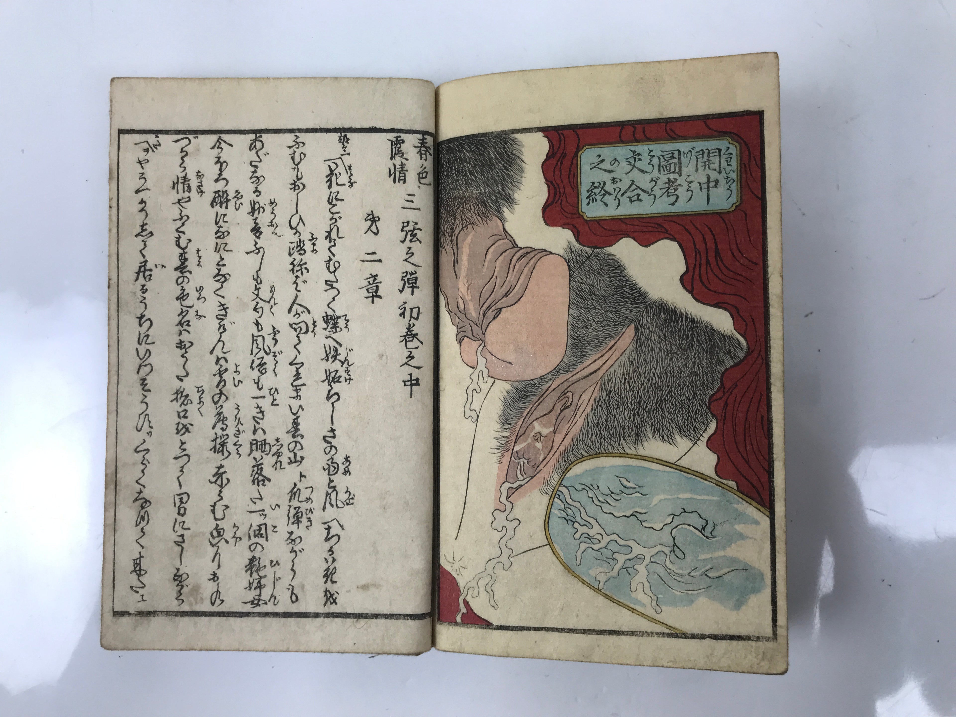Antique Japanese Shunga Ukiyoe Erotic Art Book Woodblock Print Kimono Edo FL399