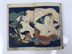 Antique Japanese Shunga Ukiyoe Erotic Art Book Woodblock Print Kimono Edo FL400