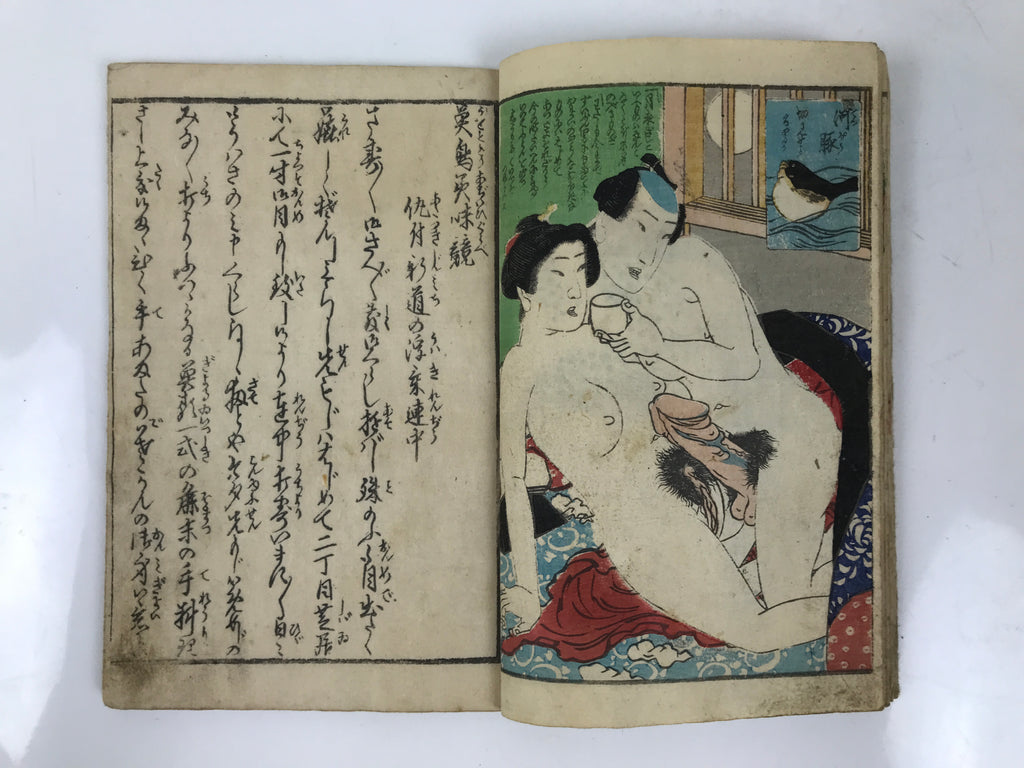 Antique Japanese Shunga Ukiyoe Erotic Art Book Woodblock Print Kimono Edo FL401