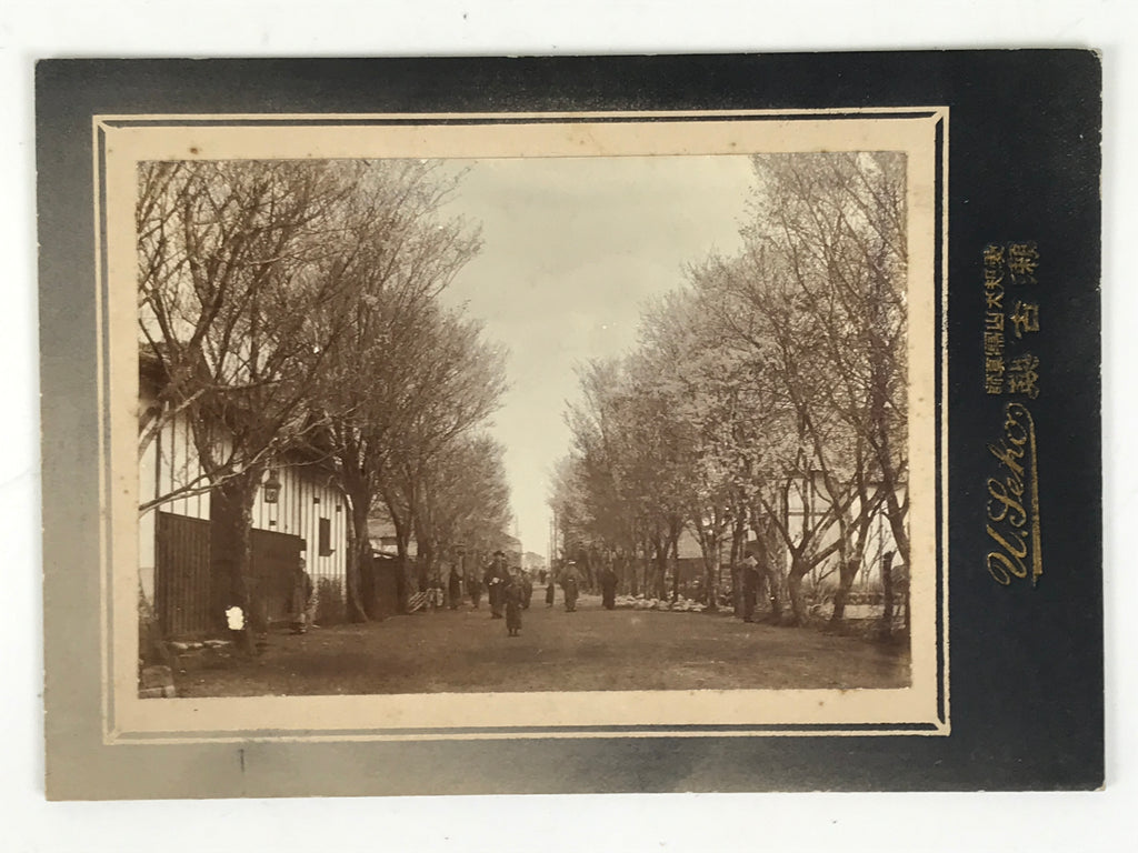 Antique Japanese Taisho Inuyama Town Street Sakura Photograph Black White PH34