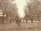 Antique Japanese Taisho Inuyama Town Street Sakura Photograph Black White PH34