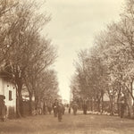 Antique Japanese Taisho Inuyama Town Street Sakura Photograph Black White PH34