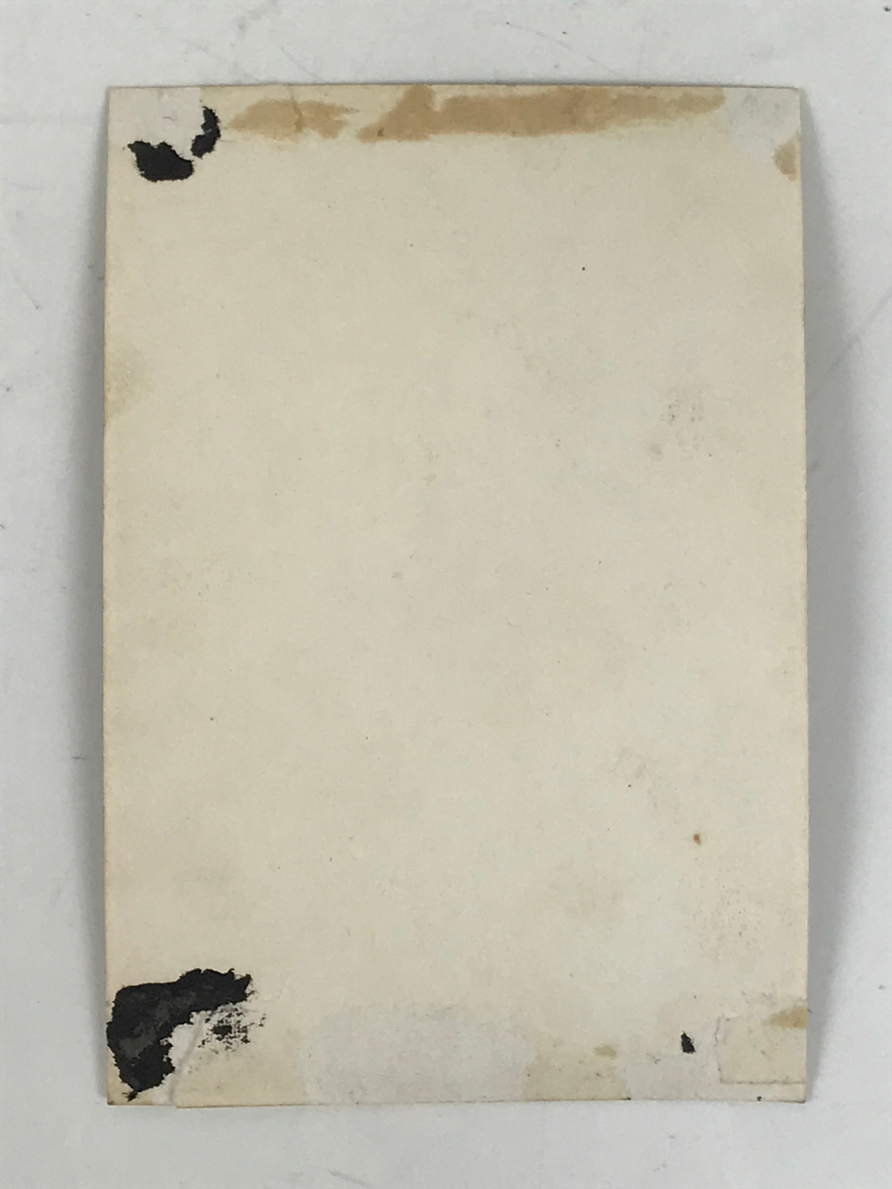 Antique Japanese Taisho Sensei Portrait Photograph Bearded Man Sepia Tone PH211