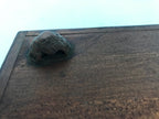 Antique Japanese Wood Lacquered Low Table Brown Serving Tray Ozen Kurumizen L509