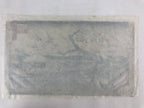 Antique c1860 Japanese Ukiyoe Woodblock Print Utagawa Hiroshige II Plum FL225
