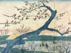 Antique c1860 Japanese Ukiyoe Woodblock Print Utagawa Hiroshige II Plum FL225