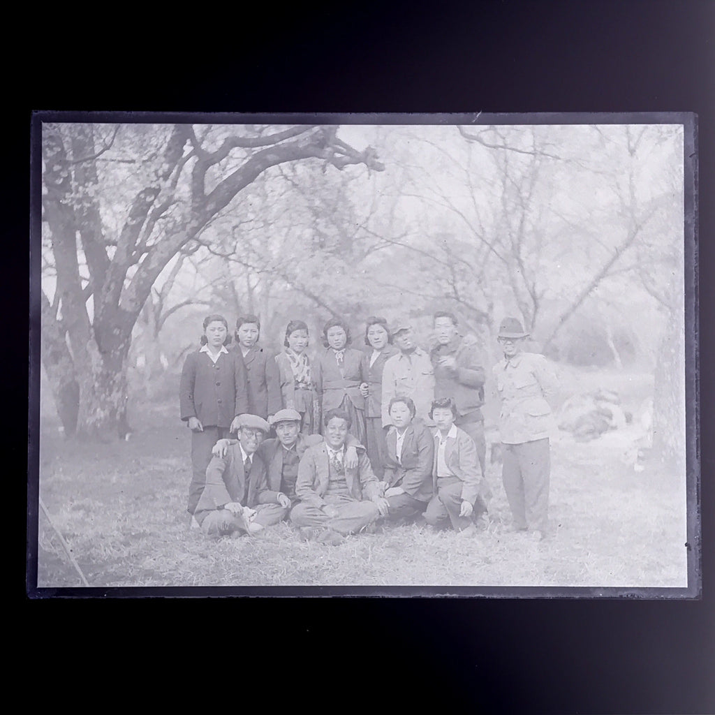 Antique Japanese Photo Glass Negative Plate C1900 Group Young Forest GN442