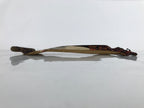 Buddhist Altar Fitting Scroll Vtg Shinran Shonin Owakigake Jodo Shinshu BA309