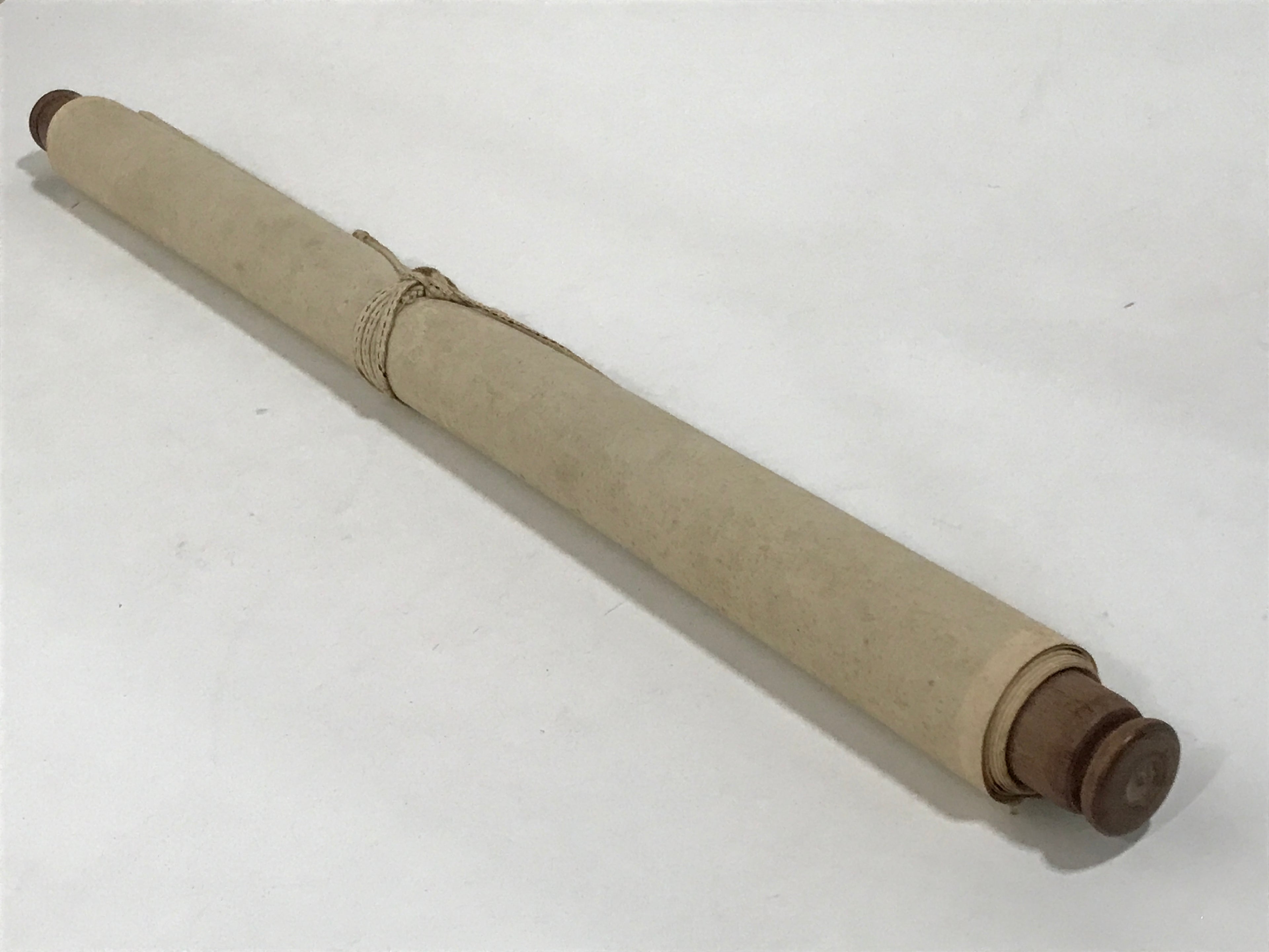 Chinese Hanging Scroll Kakejiku Vtg Chrysanthemum Flowers Poem Color Ink KJ89