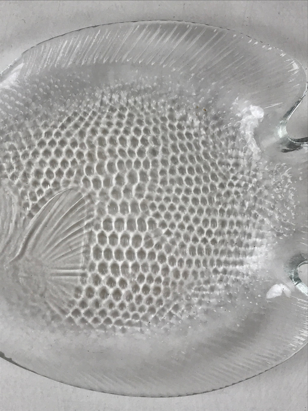 France Arcopal Brand Glass Plate Vtg Fish Tableware Small Plate Kozara QT155