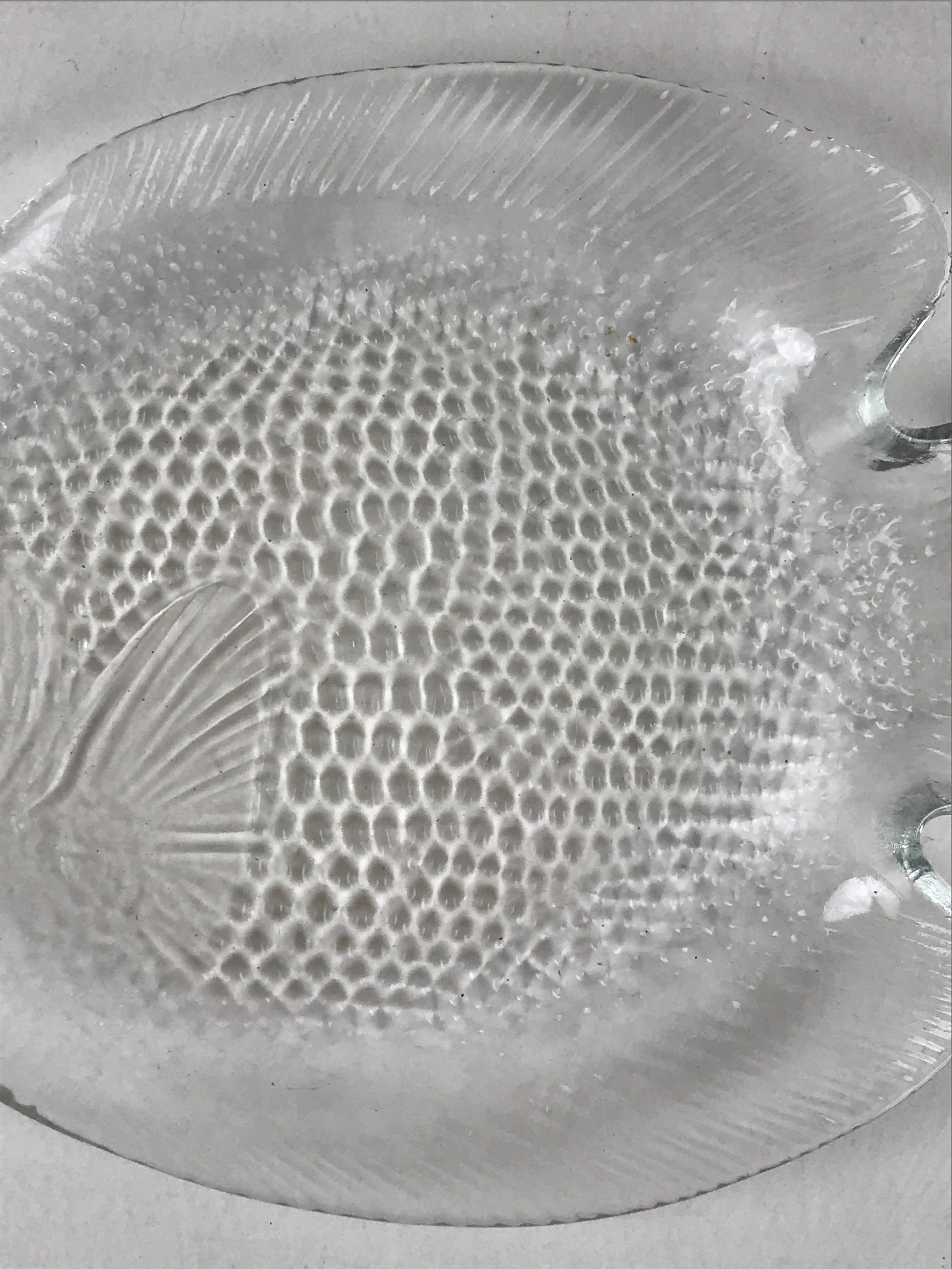 France Arcopal Brand Glass Plate Vtg Fish Tableware Small Plate Kozara QT155