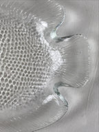 France Arcopal Brand Glass Plate Vtg Fish Tableware Small Plate Kozara QT155