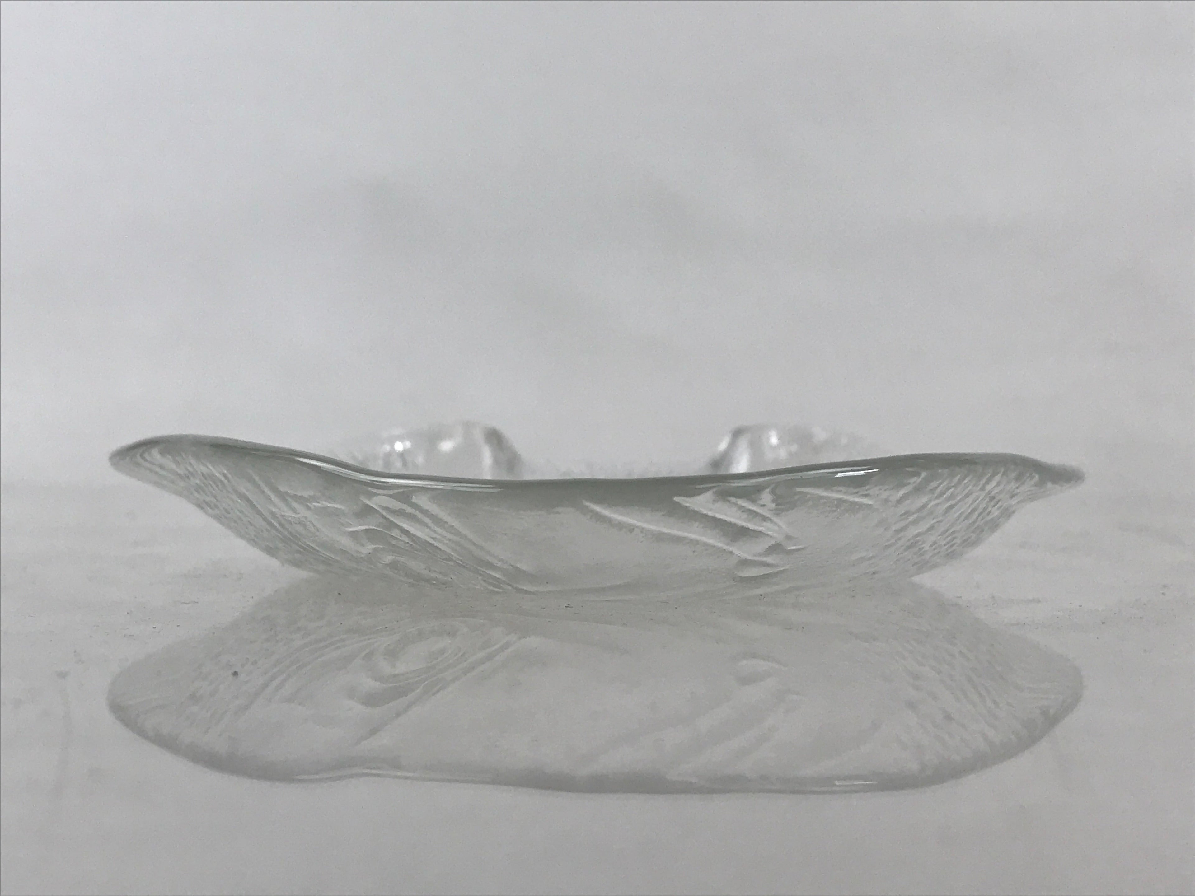France Arcopal Brand Glass Plate Vtg Fish Tableware Small Plate Kozara QT155