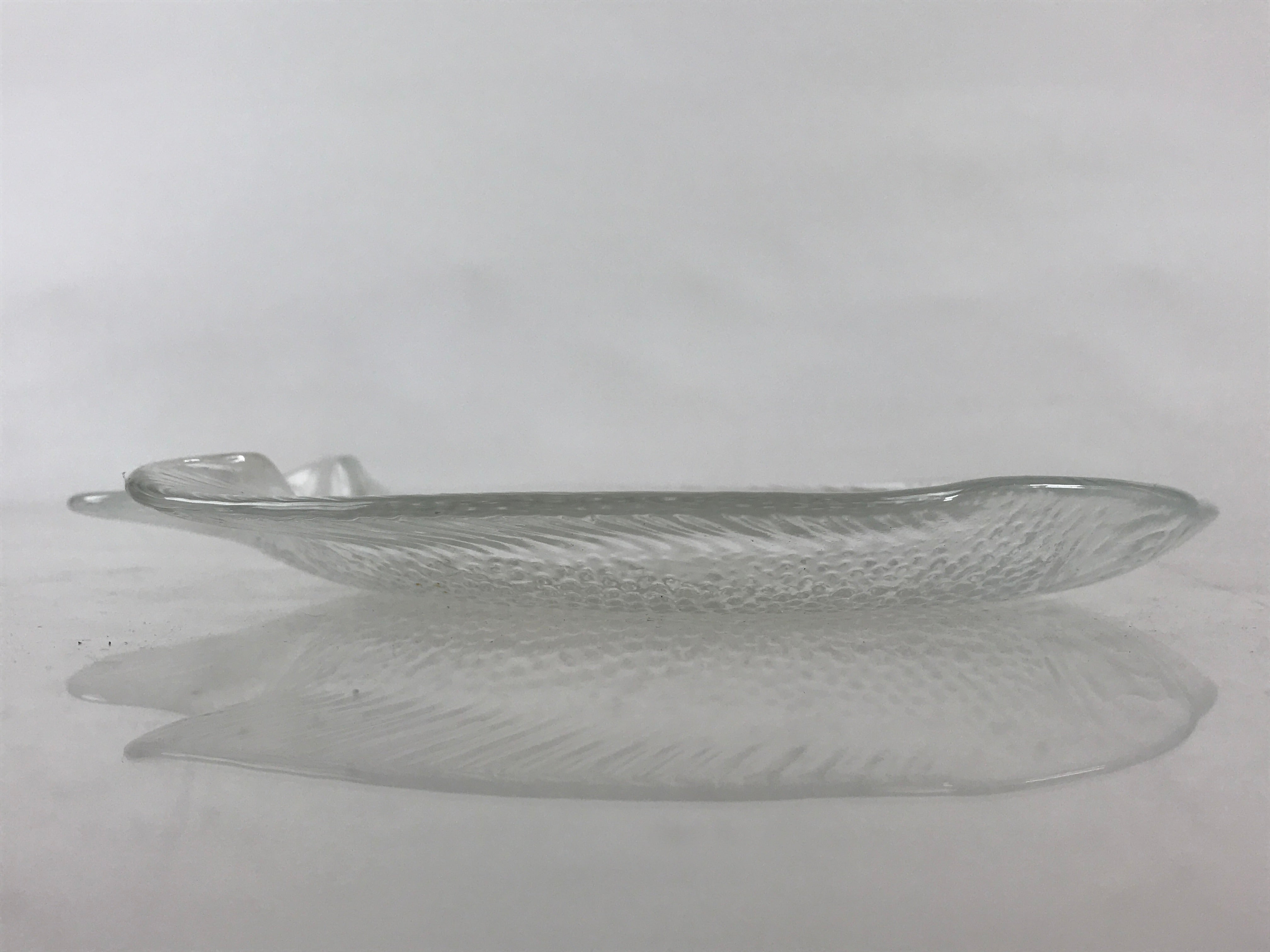 France Arcopal Brand Glass Plate Vtg Fish Tableware Small Plate Kozara QT155