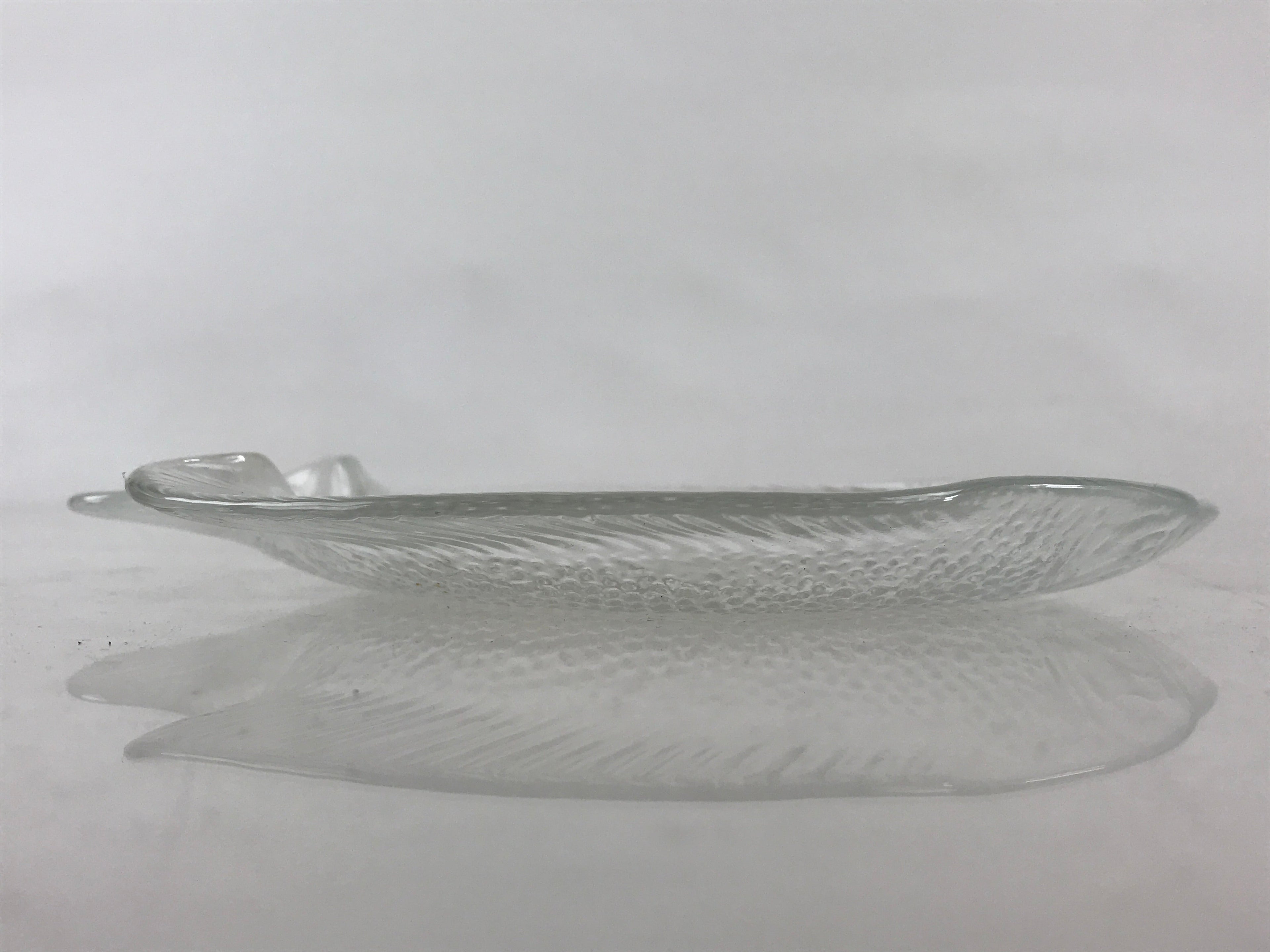 France Arcopal Brand Glass Plate Vtg Fish Tableware Small Plate Kozara QT155