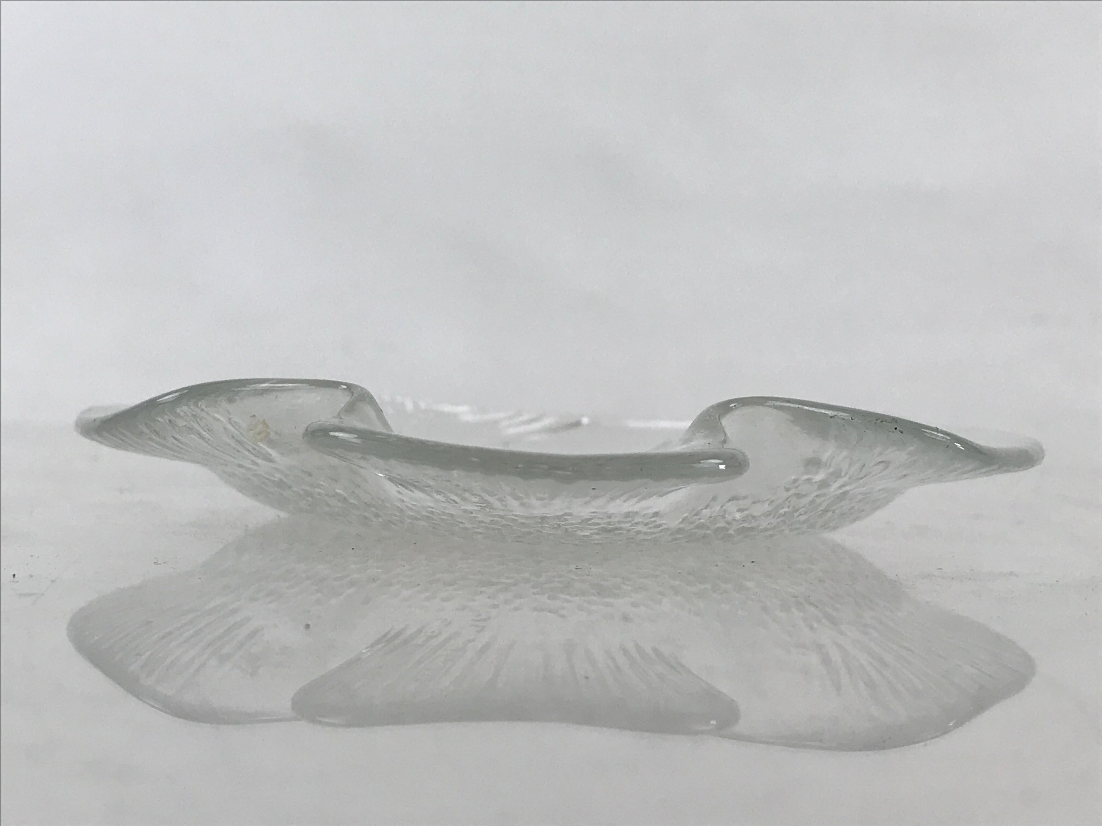 France Arcopal Brand Glass Plate Vtg Fish Tableware Small Plate Kozara QT155