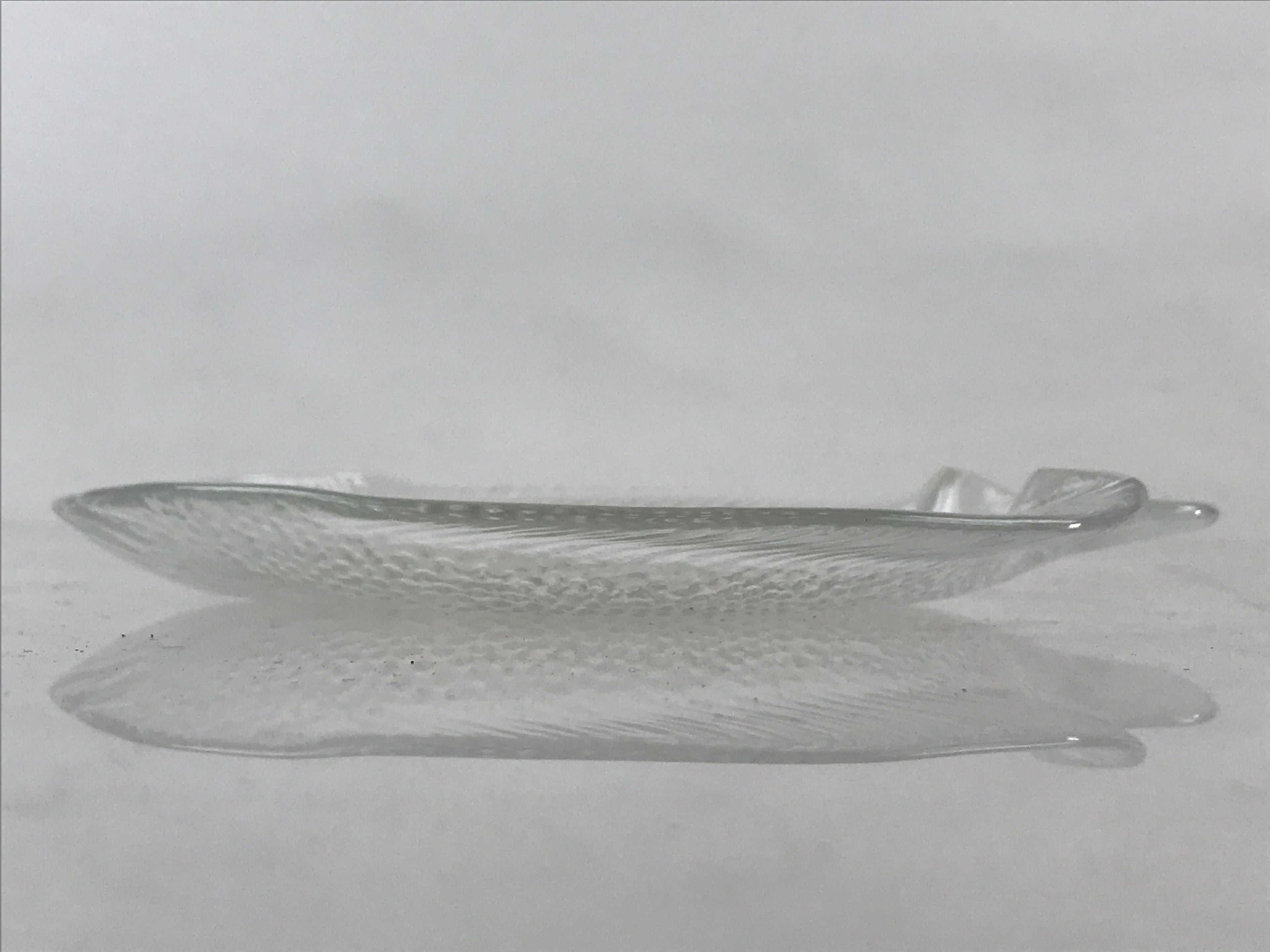 France Arcopal Brand Glass Plate Vtg Fish Tableware Small Plate Kozara QT155