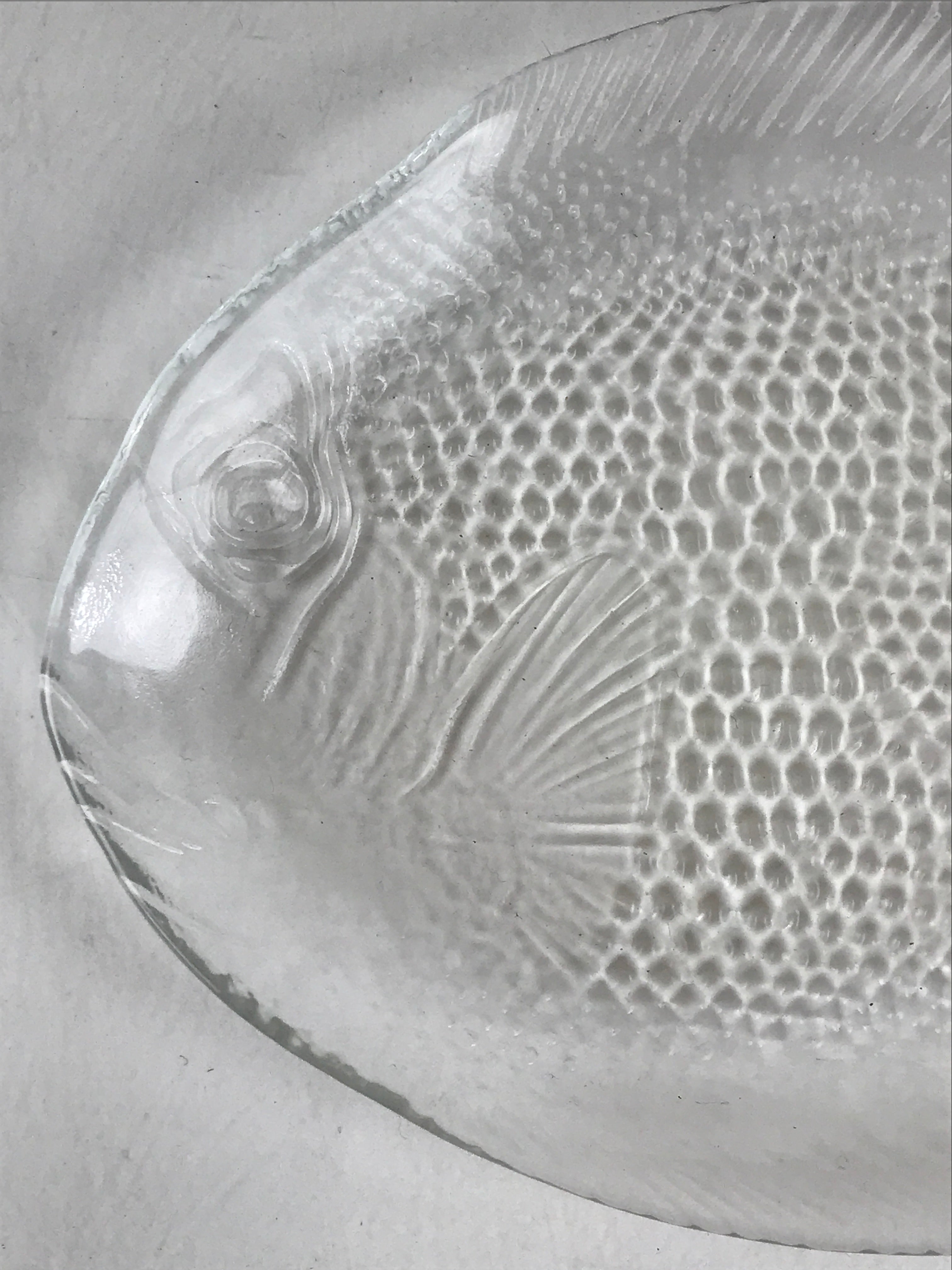 France Arcopal Brand Glass Plate Vtg Fish Tableware Small Plate Kozara QT155