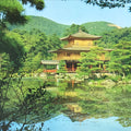 Japanese Large Postcard Kinkakuji Golden Pavilion Vtg Kyoto Temple Color PC206-AD - Photo-chidorivintage.com