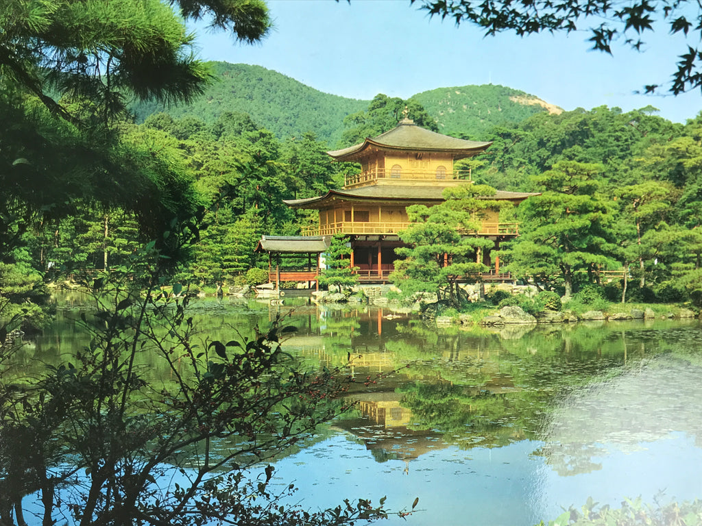 Japanese Large Postcard Kinkakuji Golden Pavilion Vtg Kyoto Temple Color PC206-AD - Photo-chidorivintage.com