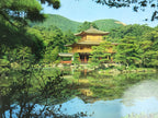 Japanese Large Postcard Kinkakuji Golden Pavilion Vtg Kyoto Temple Color PC206-AD - Photo-chidorivintage.com