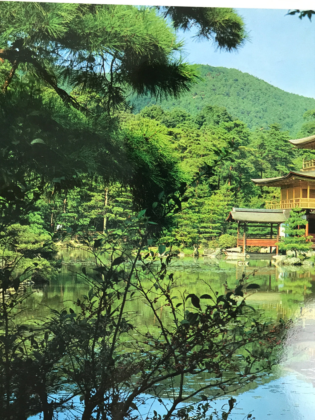 Japanese Large Postcard Kinkakuji Golden Pavilion Vtg Kyoto Temple Color PC206-AD - Photo-chidorivintage.com