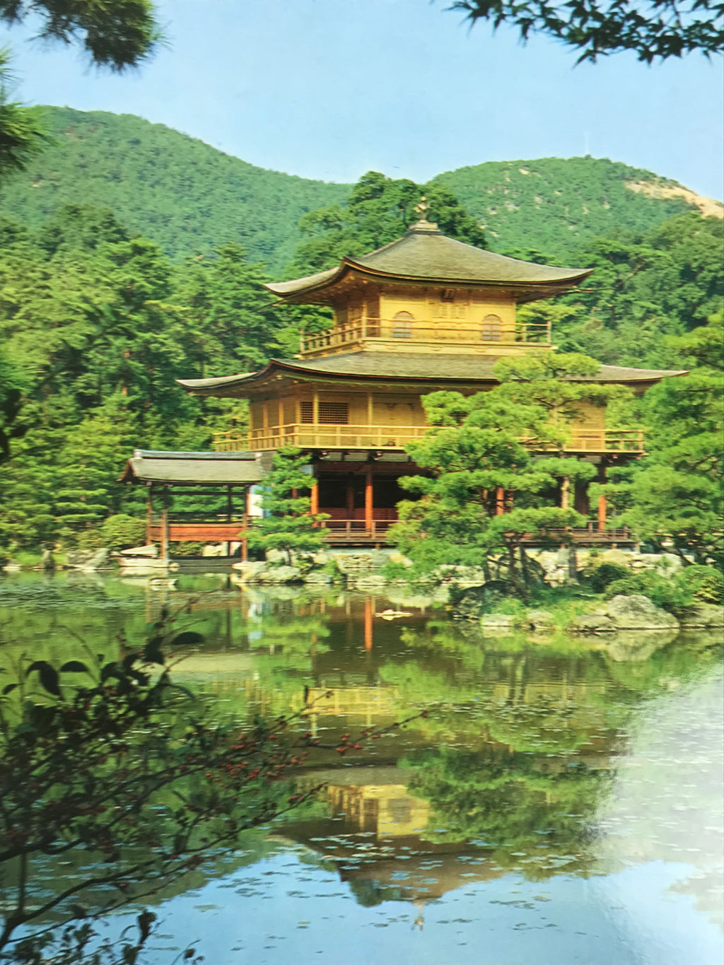 Japanese Large Postcard Kinkakuji Golden Pavilion Vtg Kyoto Temple Color PC206-AD - Photo-chidorivintage.com