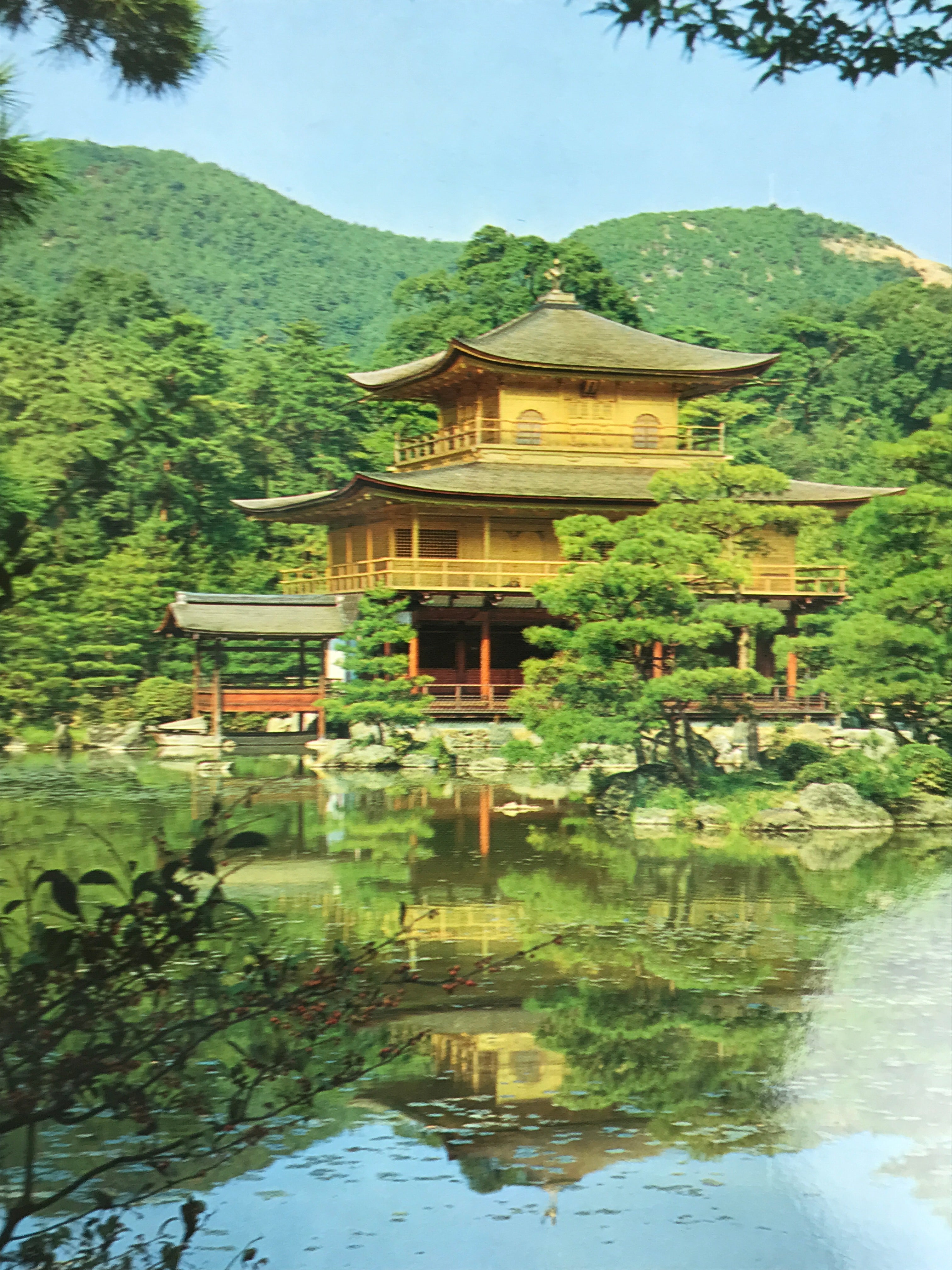 Japanese Large Postcard Kinkakuji Golden Pavilion Vtg Kyoto Temple Color PC206-AD - Photo-chidorivintage.com