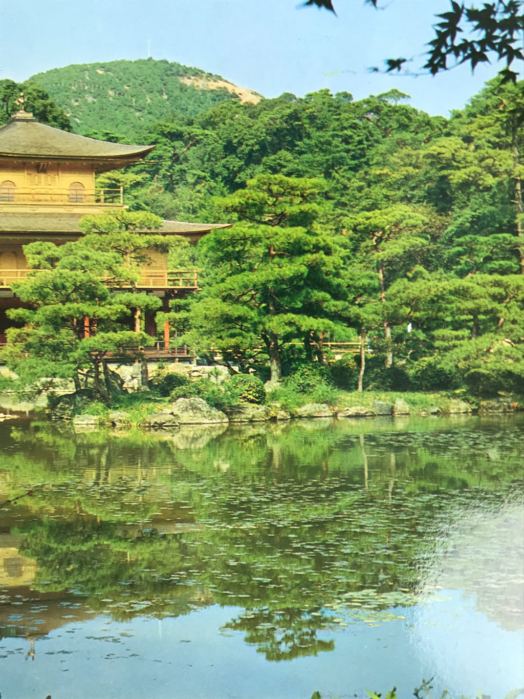 Japanese Large Postcard Kinkakuji Golden Pavilion Vtg Kyoto Temple Color PC206-AD - Photo-chidorivintage.com