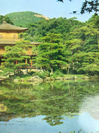 Japanese Large Postcard Kinkakuji Golden Pavilion Vtg Kyoto Temple Color PC206-AD - Photo-chidorivintage.com