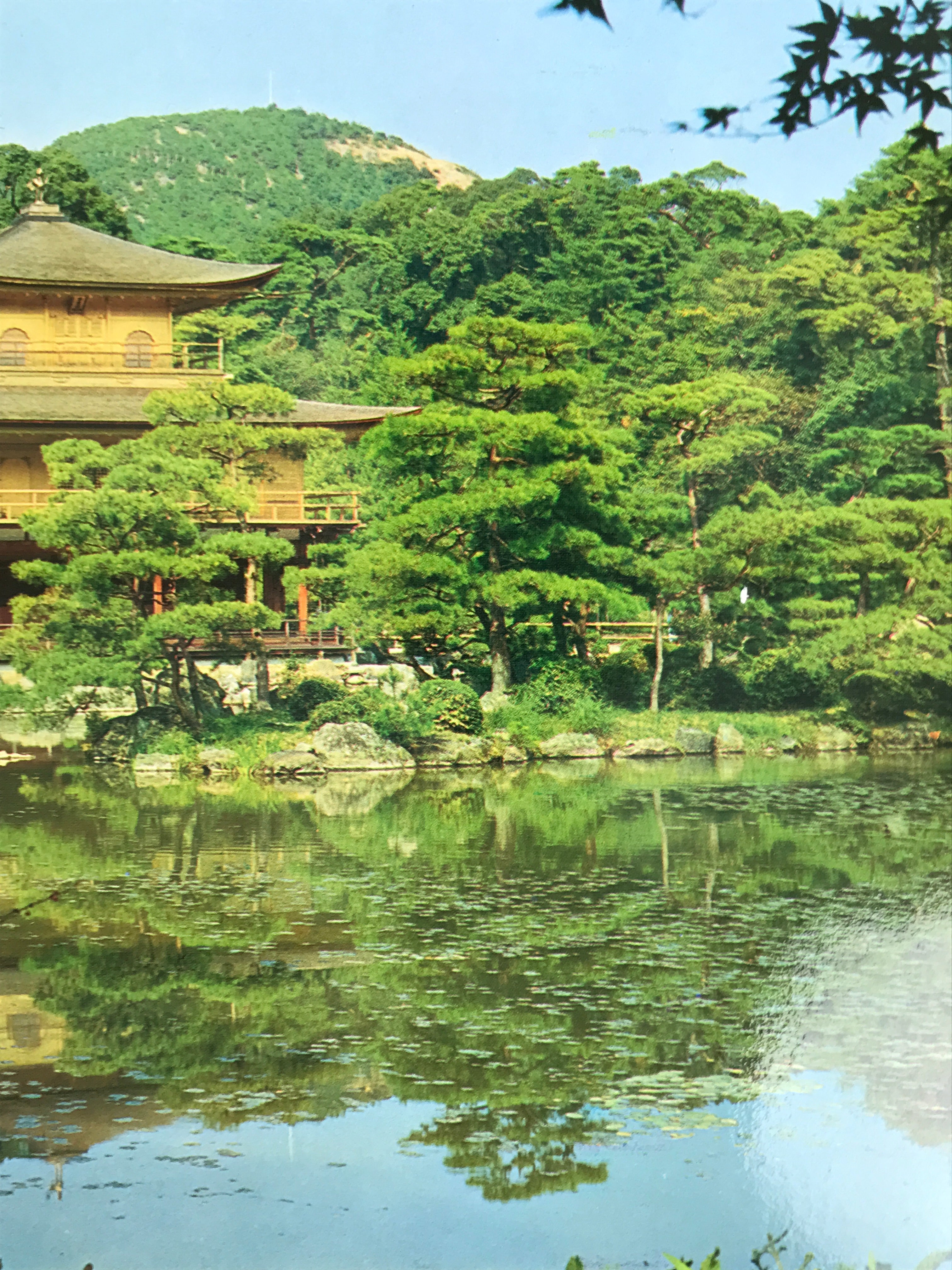 Japanese Large Postcard Kinkakuji Golden Pavilion Vtg Kyoto Temple Color PC206-AD - Photo-chidorivintage.com