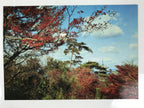 Japanese Large Postcard Kiyomizu Dera Vtg Kyoto Temple Autumn Scene Color PC207-AD - Photo-chidorivintage.com