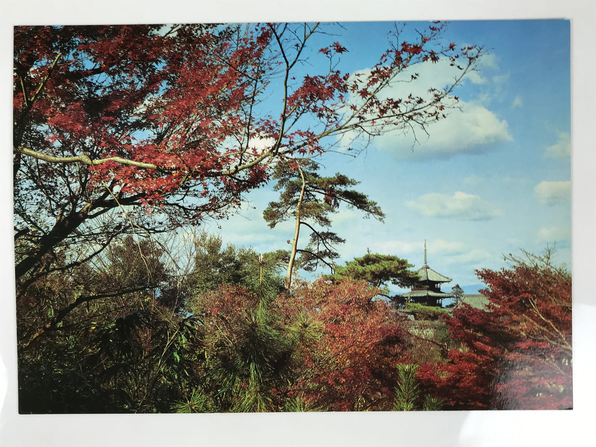 Japanese Large Postcard Kiyomizu Dera Vtg Kyoto Temple Autumn Scene Color PC207-AD - Photo-chidorivintage.com