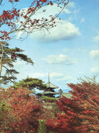Japanese Large Postcard Kiyomizu Dera Vtg Kyoto Temple Autumn Scene Color PC207-AD - Photo-chidorivintage.com