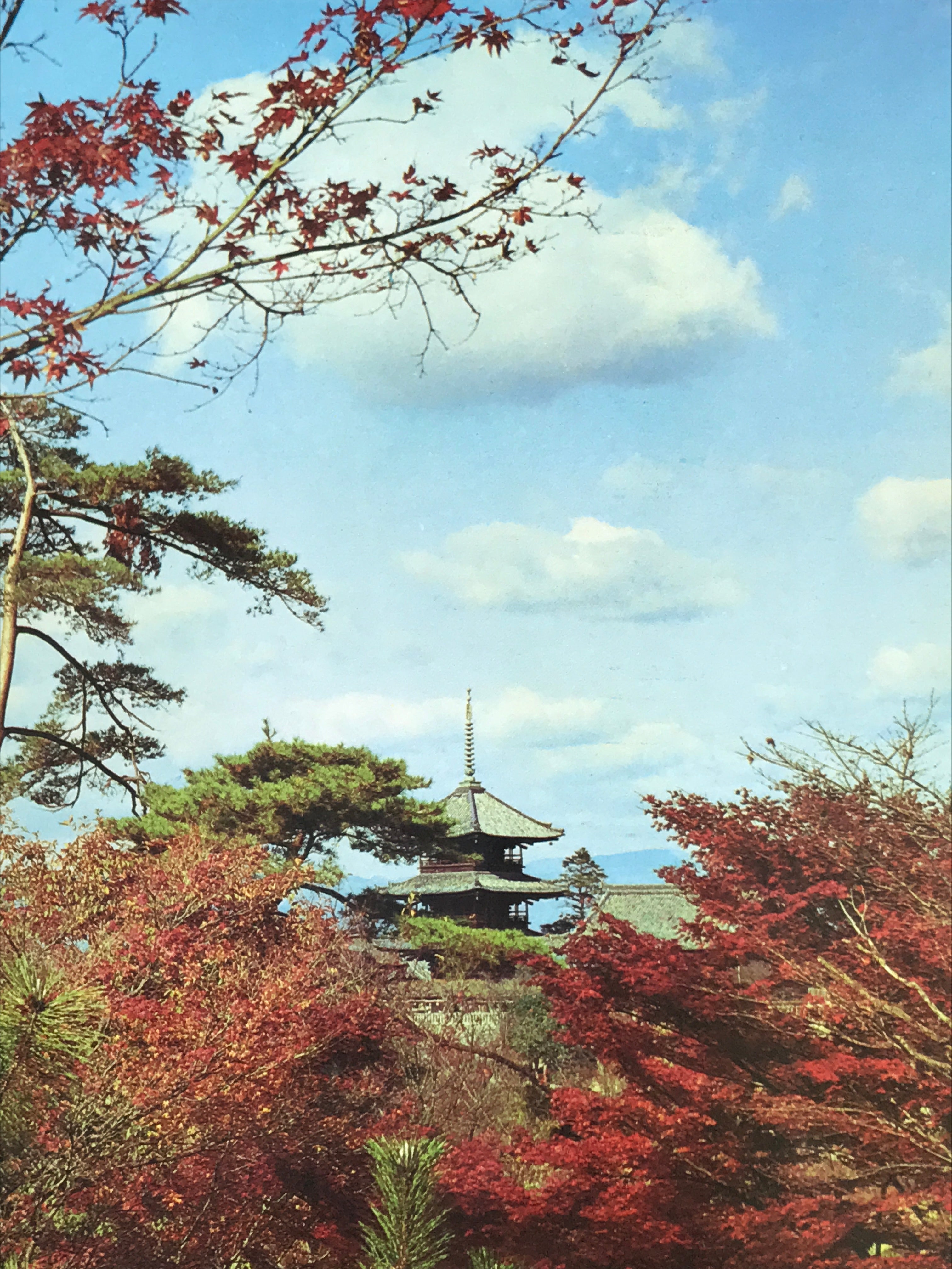 Japanese Large Postcard Kiyomizu Dera Vtg Kyoto Temple Autumn Scene Color PC207-AD - Photo-chidorivintage.com