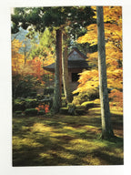 Japanese Large Postcard Sanzenin Temple Vtg Kyoto Autumn Garden Color PC208-AD - Photo-chidorivintage.com