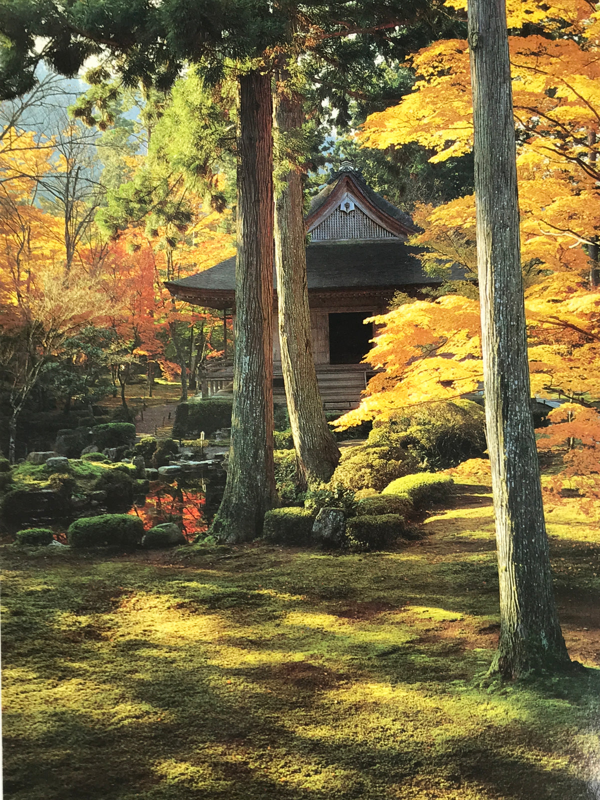 Japanese Large Postcard Sanzenin Temple Vtg Kyoto Autumn Garden Color PC208-AD - Photo-chidorivintage.com